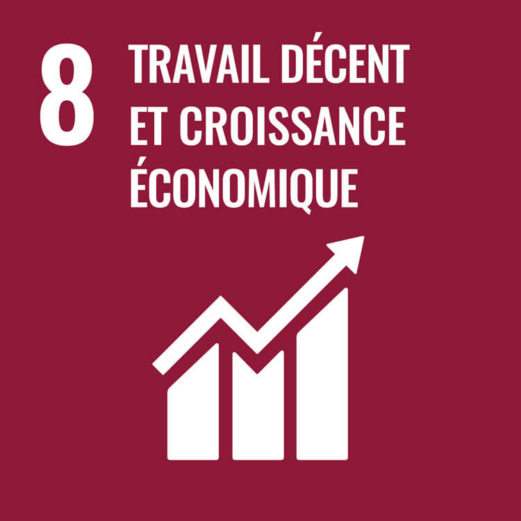 ODD 8&nbsp;: Travail décent et croissance économique