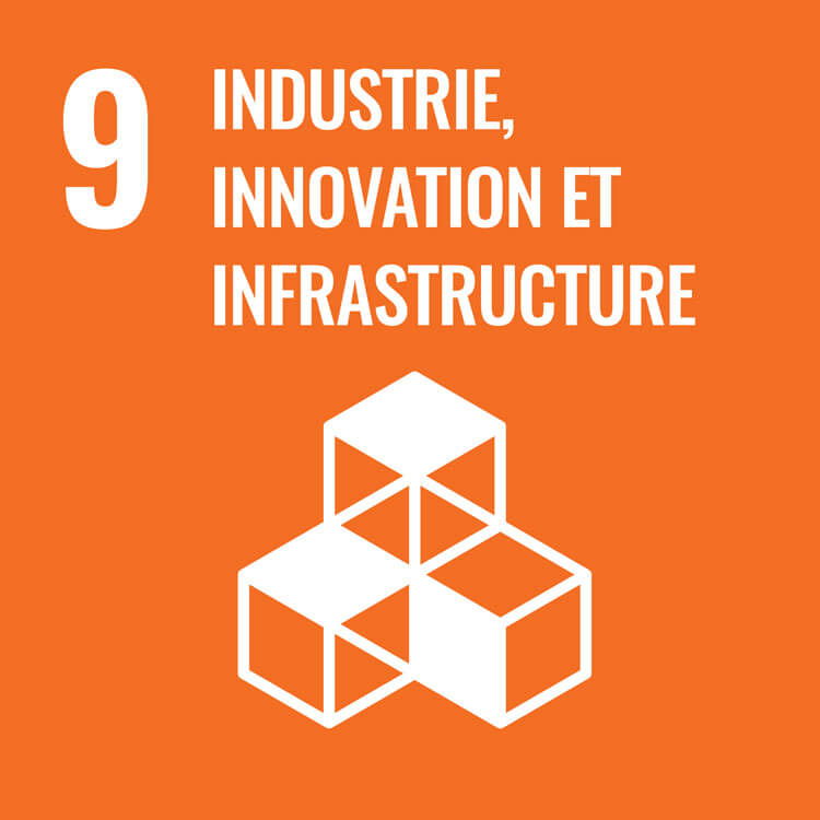 ODD 9&nbsp;: Industrie, innovation et infrastructure