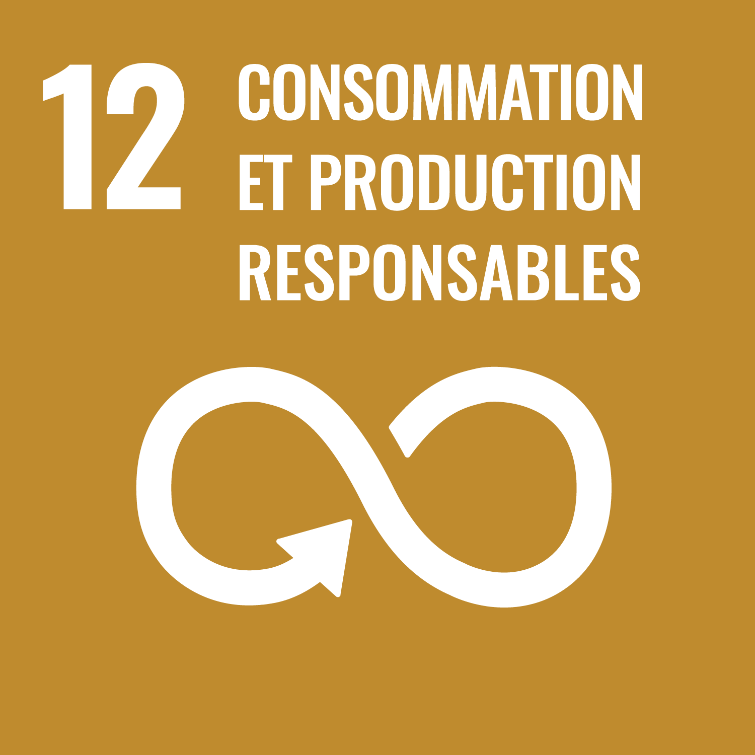 ODD 12&nbsp;: Consommation et production responsables